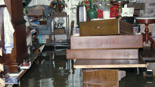 Residential Basement Flooding Cleanup in Windsor & Essex County